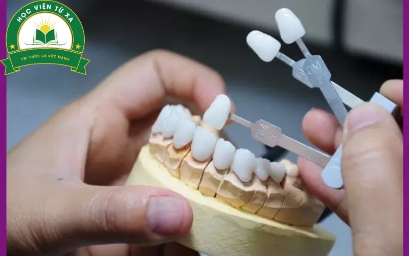 Cơ hội việc làm của Trung cấp Kỹ thuật phục hình răng online