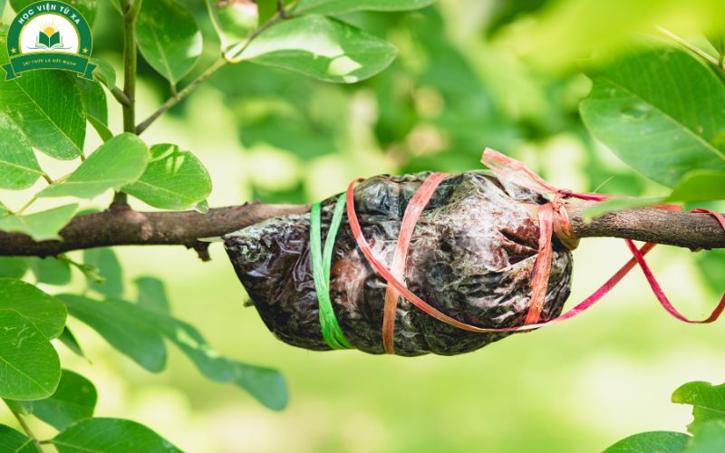 Lớp học ngành Bảo vệ thực vật - Xét tuyển từ xa