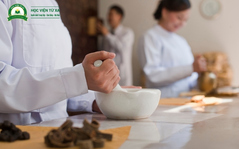 Có bằng Y học cổ truyền rồi thì làm được gì?