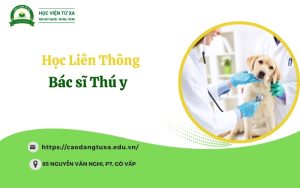 Học Liên thông Bác sĩ Thú y - Mới cập nhật năm 2025