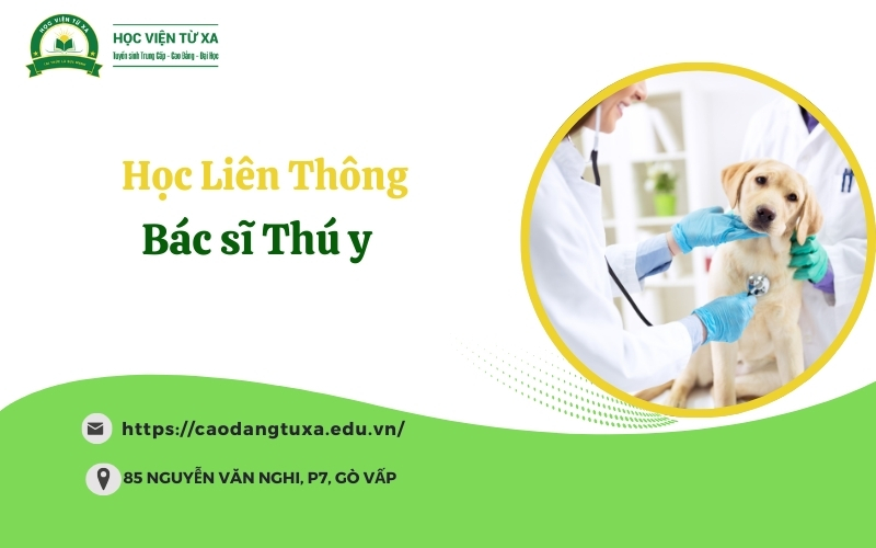 Học Liên thông Bác sĩ Thú y - Mới cập nhật năm 2025