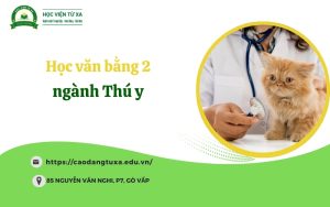 Học Văn bằng 2 ngành Thú y - Đang tuyển sinh