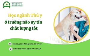 Học ngành Thú y ở trường Cao đẳng nào uy tín, chất lượng