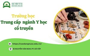 Trường học Trung cấp ngành Y học cổ truyền tốt tại TpHCM