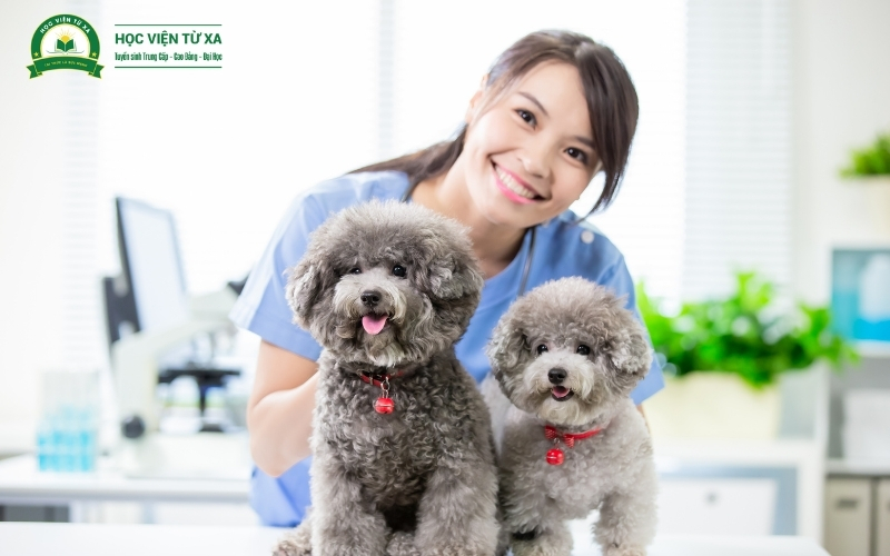 Vì sao nên học Văn bằng 2 ngành Thú y?