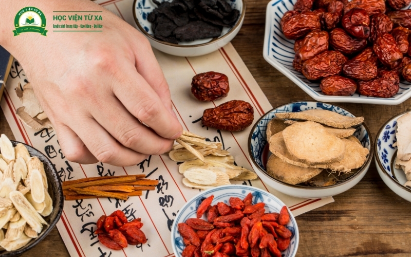 Cơ hội nghề nghiệp sau khi tốt nghiệp