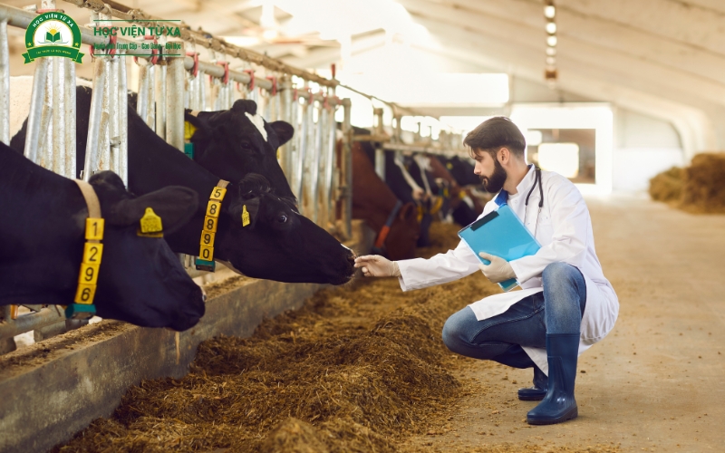 Học Trung cấp Thú y có thể học liên thông không?