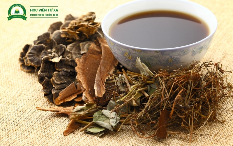 Học xong Văn bằng 2 Trung cấp Y học cổ truyền có dễ xin việc không?