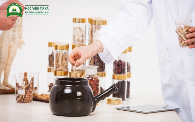 Liên thông Bác sĩ Y học cổ truyền học gì?