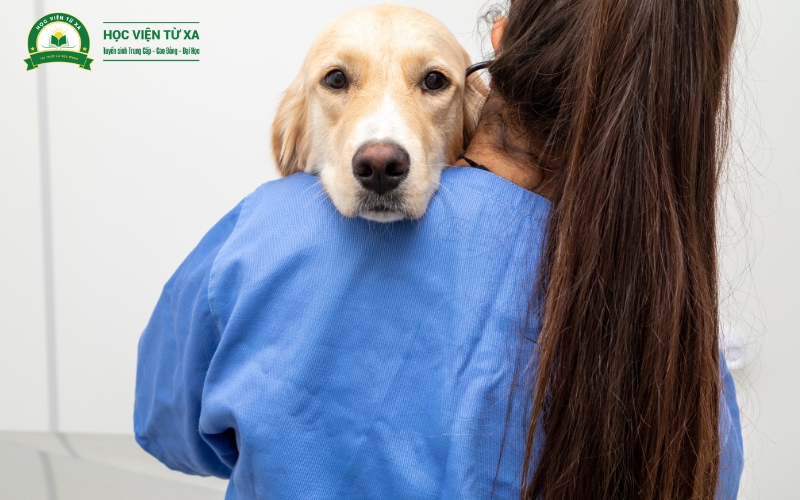 Trung cấp Thú y có phù hợp với bạn?