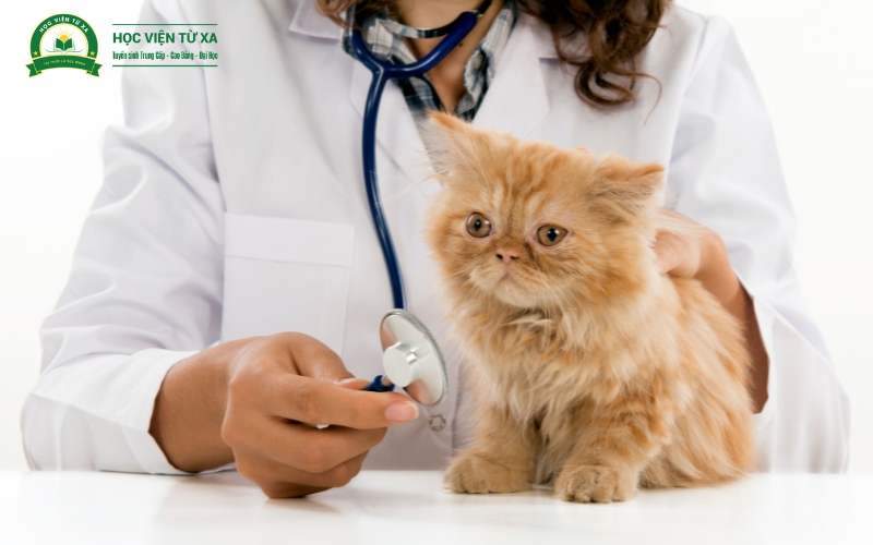 Tuyển sinh Trung cấp Thú y [ Xét tuyển liên tục ]