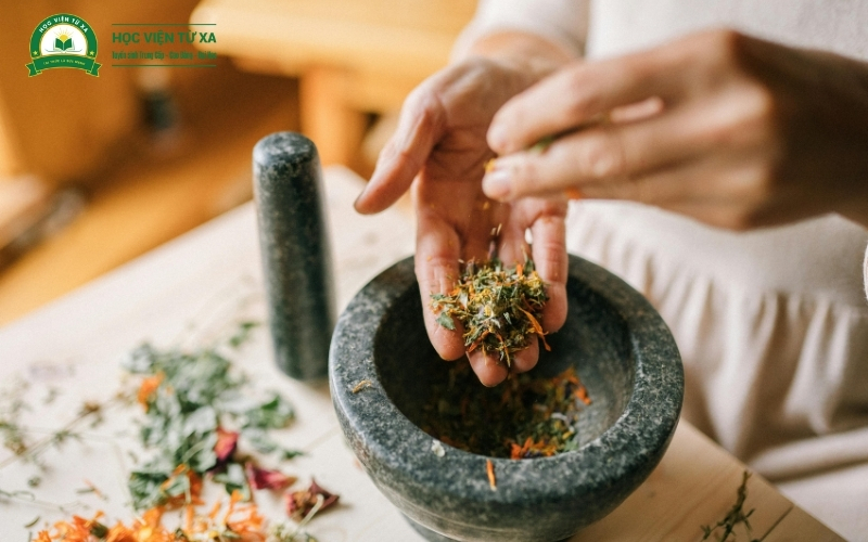 Vì sao nên học Văn bằng 2 Trung cấp Y học cổ truyền?