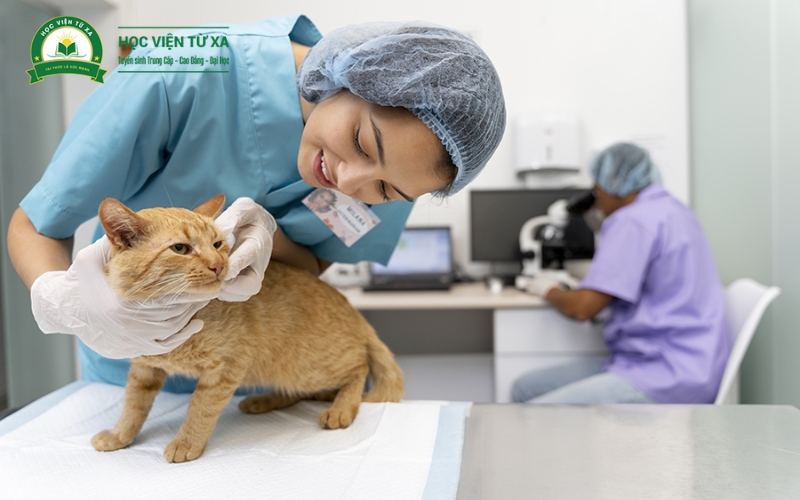 Địa điểm học Cao đẳng Thú Y uy tín nhất TP. HCM