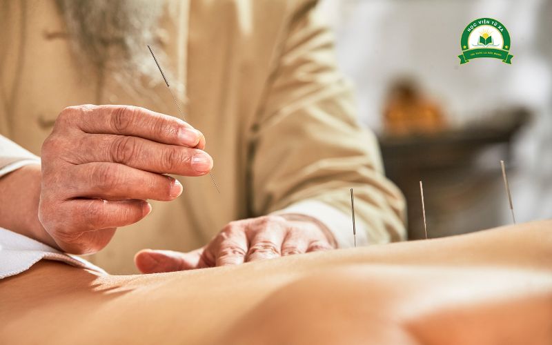Học Trung cấp ngành Y học cổ truyền