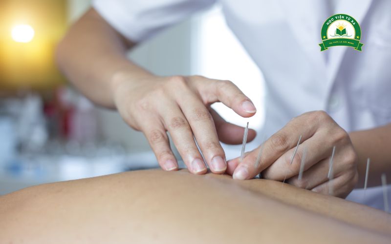 Lợi ích khi học Trung cấp Y học cổ truyền cho người đi làm
