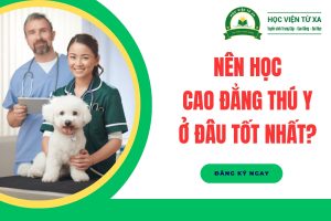 Nên học Cao đẳng Thú Y ở đâu tốt nhất?