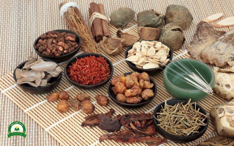 Trung cấp Y học cổ truyền chính quy