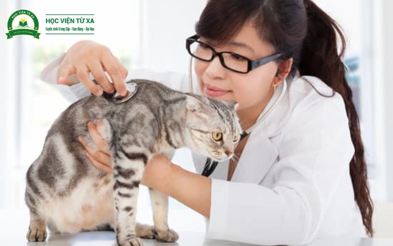Vai trò của Trung cấp Thú y Từ xa như thế nào?