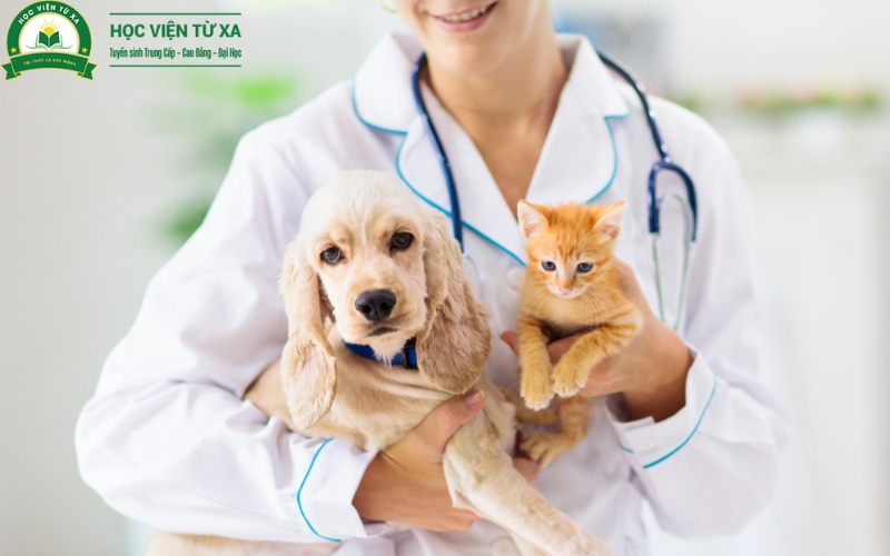 Chương trình đào tạo Cao đẳng Thú y