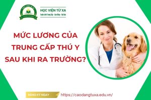 Mức lương của Trung cấp Thú y sau khi ra trường?