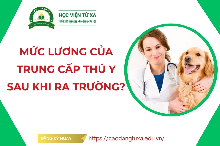 Mức lương của Trung cấp Thú y sau khi ra trường?