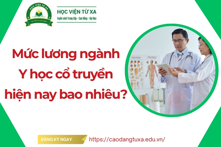 Mức lương ngành Y học cổ truyền hiện nay bao nhiêu?