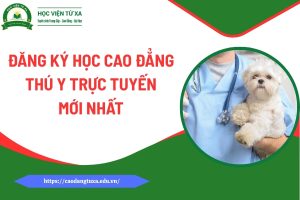 Đăng ký học Cao đẳng Thú y trực tuyến mới nhất
