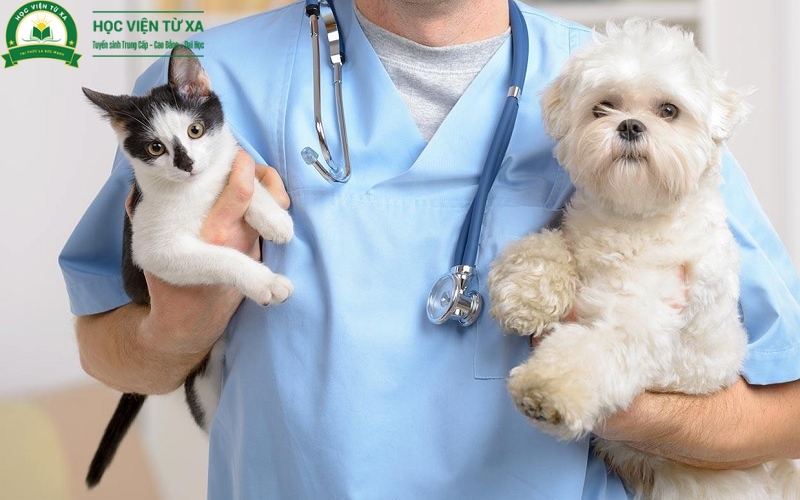 Học Cao đẳng Thú y để làm gì?