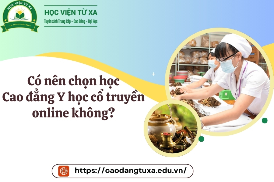 Có nên chọn học Cao đẳng Y học cổ truyền online không?