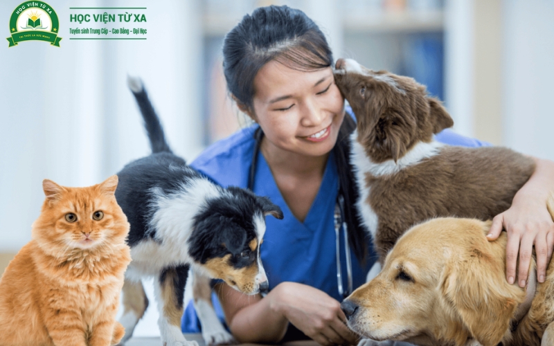 Có nên chọn học Trung cấp Thú y không?