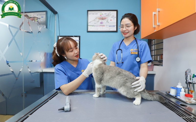 Cần làm gì để tăng cơ hội phát triển cho Trung cấp Thú y Từ xa