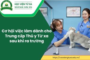 Cơ hội việc làm dành cho Trung cấp Thú y Từ xa sau khi ra trường