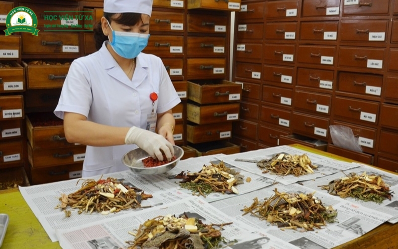Địa điểm học Trung cấp Y học cổ truyền online uy tín