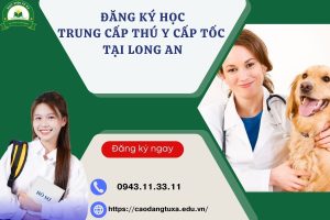 Đăng ký học Trung cấp Thú y Cấp tốc tại Long An