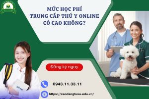 Mức học phí Trung cấp Thú y Online có cao không?