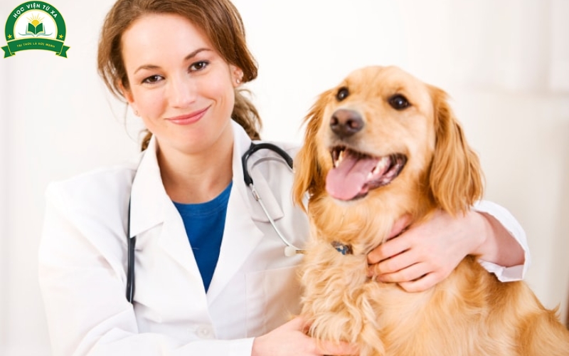 Thông tin xét tuyển Trung cấp Thú y Cấp tốc