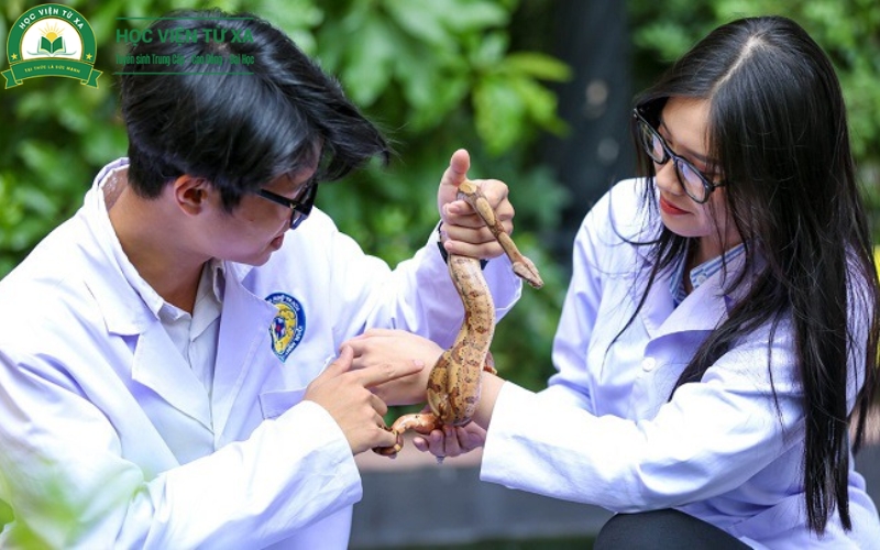 Địa chỉ học Liên thông Bác sĩ Thú y online được nhiều người lựa chọn