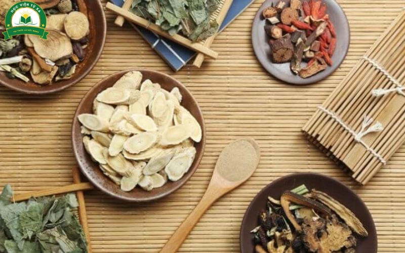 Kiến thức và kỹ năng tích lũy khi học Cao đẳng Y học cổ truyền từ xa