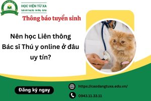 Nên học Liên thông Bác sĩ Thú y online ở đâu uy tín?