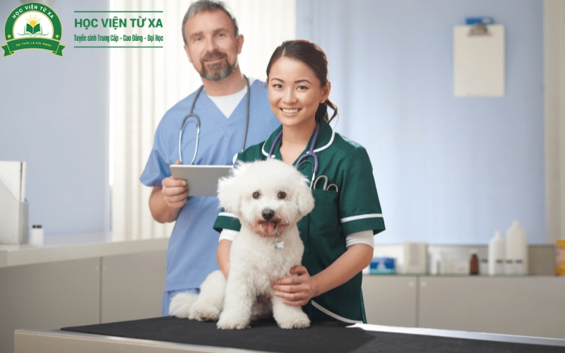 Thời gian Liên thông Bác sĩ Thú y online mất bao lâu?