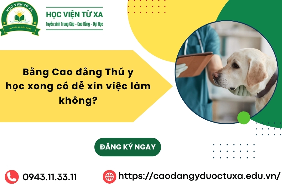 Bằng Cao đẳng Thú y học xong có dễ xin việc làm không?