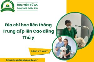 Địa chỉ học liên thông Trung cấp lên Cao đẳng Thú y