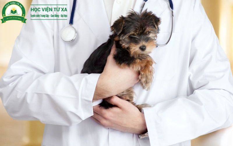 Học phí và thời gian học online Văn bằng 2 Trung cấp Thú y