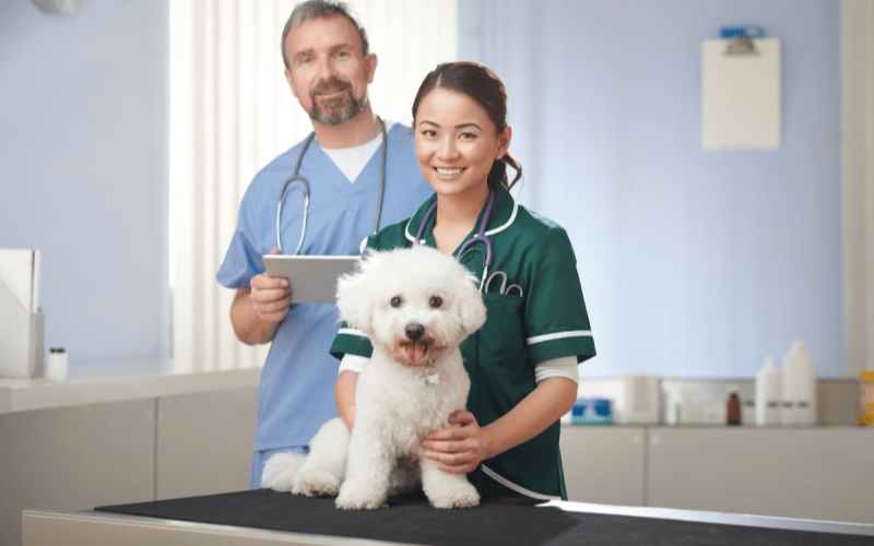 Địa chỉ học liên thông Trung cấp lên Cao đẳng Thú y