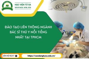 Đào tạo Liên thông ngành Bác sĩ Thú y nổi tiếng nhất tại TPHCM