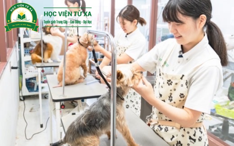 Đối tượng phù hợp học Liên thông ngành Bác sĩ Thú y