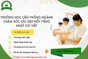 Trường học Liên thông ngành Chăm sóc sắc đẹp nổi tiếng nhất Gò vấp