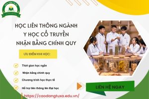 Học Liên thông ngành Y học cổ truyền - Nhận bằng chính quy