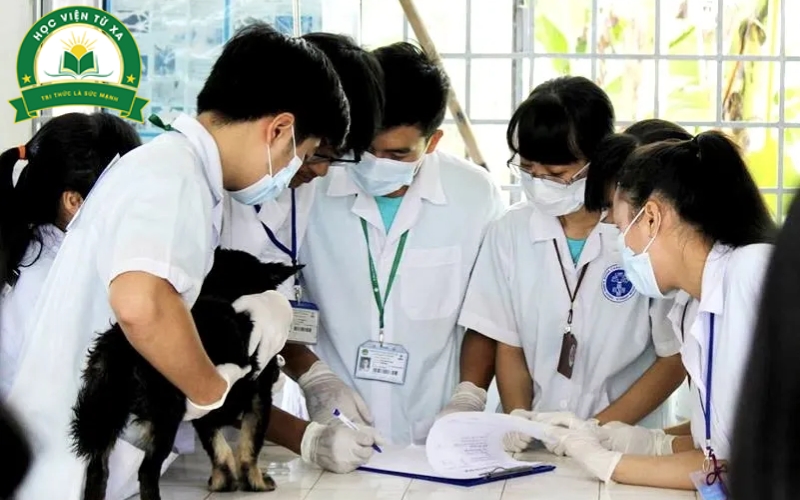 Thông tin xét tuyển Trung cấp Thú y học cuối tuần tại Trường Cao đẳng Từ xa