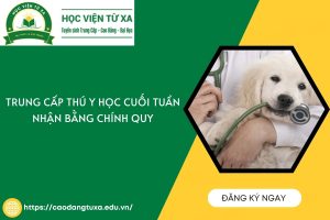 Trung cấp Thú y học cuối tuần - Nhận bằng chính quy